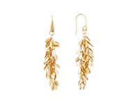 Orecchini 4US: Cesare Paciotti Donna in Acciaio 4UOR7306W